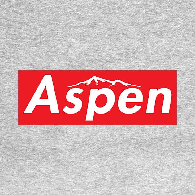 Aspen Colorado Skiing Ski by heybert00